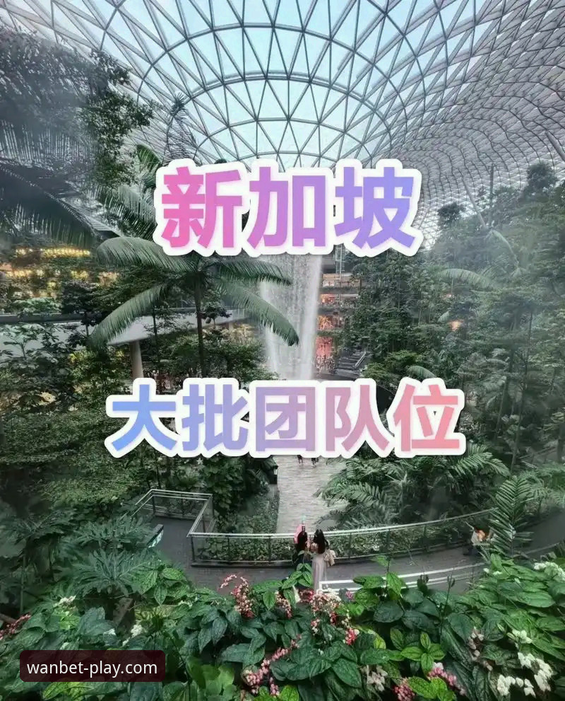 博万体育客户端2025新版深度分析：功能、体验与使用全解析